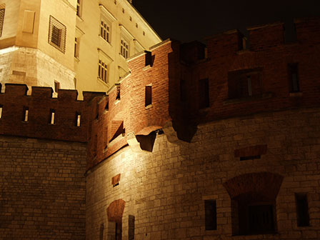 Zamek, widok ogólny od strony ul. Grodzkiej.