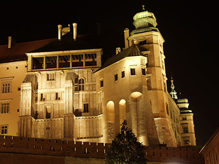 Zamek, widok ogólny od strony ul. Grodzkiej.